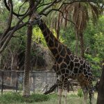 IMG_7458